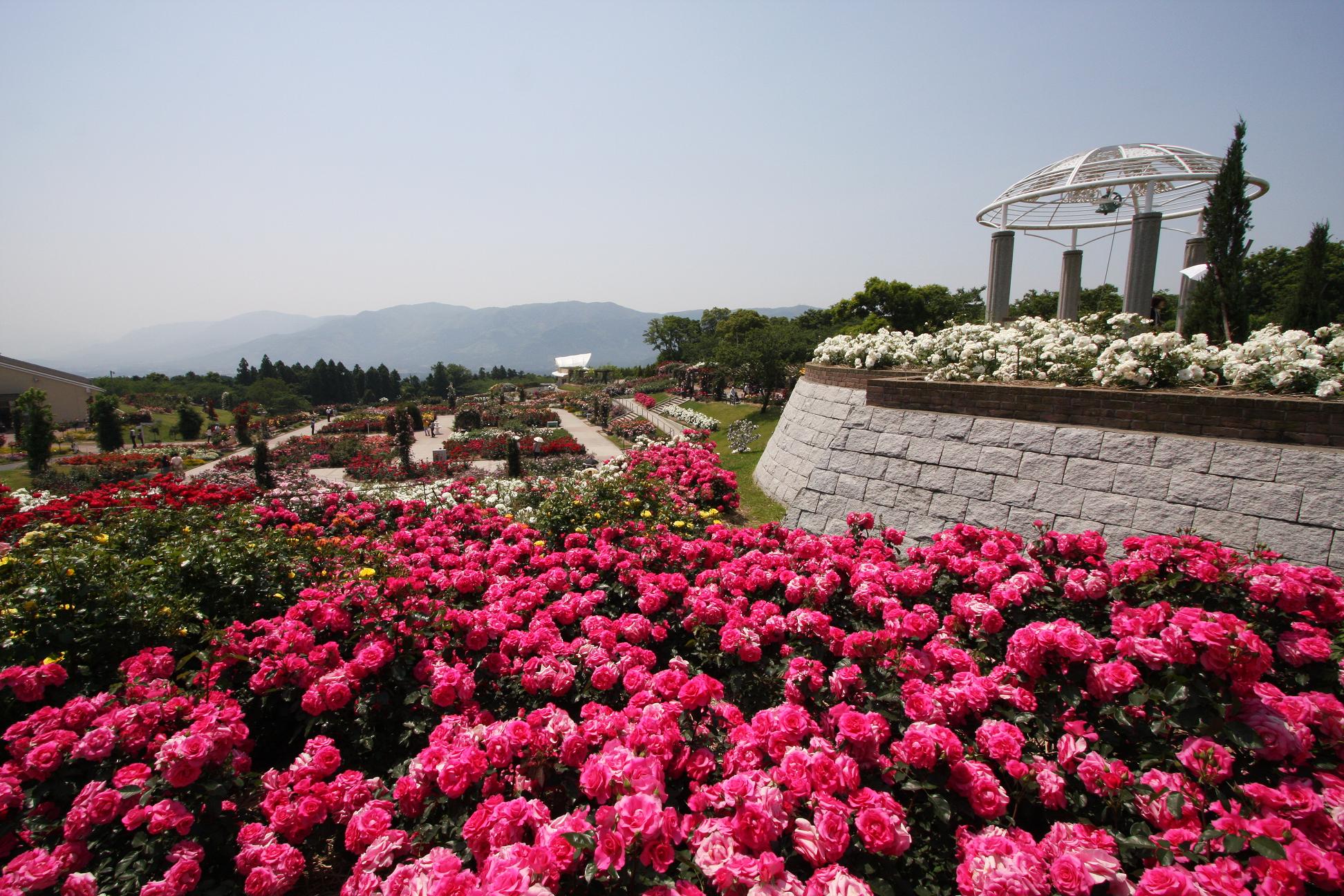 メインイメージa